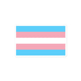 Transgender Pride Flag Bubble-Free Stickers